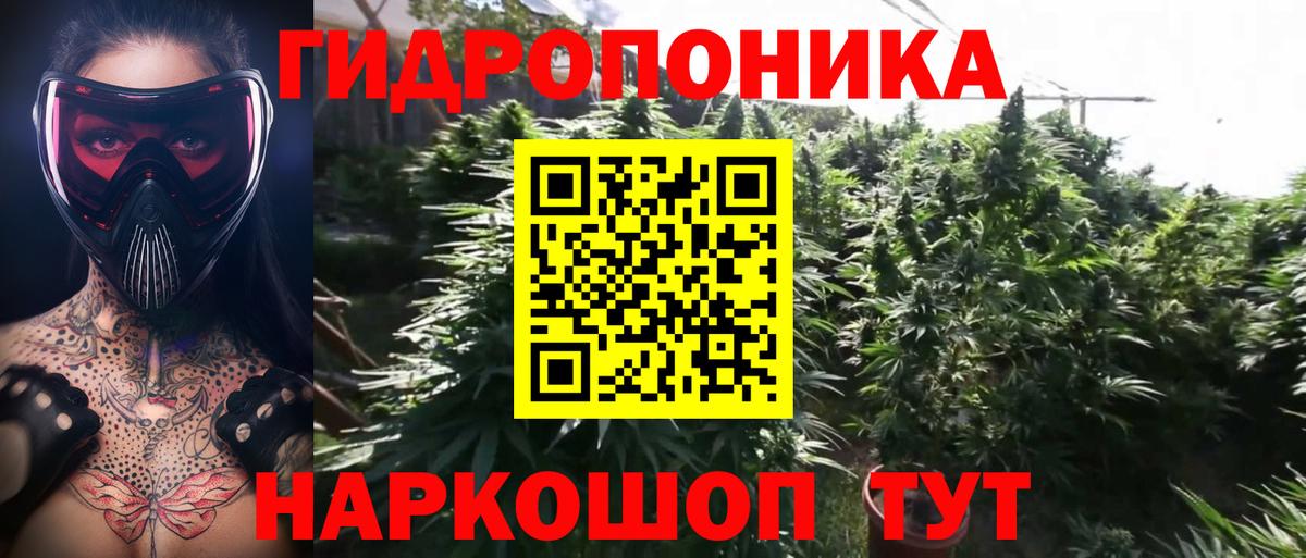Марихуана семена  Шишки марихуана конопля  Бошки марихуана VHQ  Каннабис индика  Норильск  Вход с VPN 